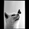 Outlet Luxe Framing Art Art Print Butterfly Cat SHJ973