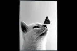 Outlet Luxe Framing Art Art Print Butterfly Cat SHJ973