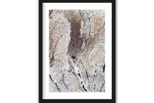 Hot Urban Cotton Art Print Curly Soft Coral