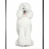 Outlet Luxe Framing Art Art Print Dior Poedel FA-109