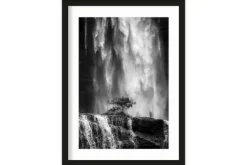 Best Urban Cotton Art Print Germinate