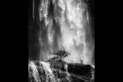 Best Urban Cotton Art Print Germinate