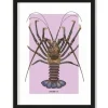 Urban Cotton Schilderijen^Art Print Langosta