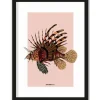 Discount Urban Cotton Art Print Lio