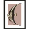Urban Cotton Schilderijen^Art Print Mola Mola