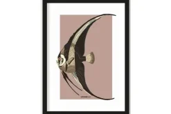 Urban Cotton Schilderijen^Art Print Mola Mola