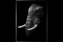 Hot Luxe Framing Art Art Print Olifant SHA414