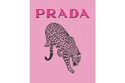 Luxe Framing Art Schilderijen^Art Print Prada Roze FA-276