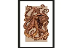 Urban Cotton Decoratie|Schilderijen^Art Print Pulpo