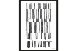 Discount Urban Cotton Art print UBC