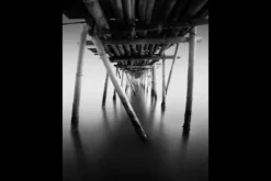 Urban Cotton Schilderijen^Art Print Underworld