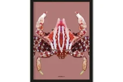 Sale Urban Cotton Art Print Villo Donus