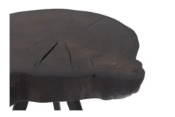 Discount Country Style Bijzettafel Ruw Zwart