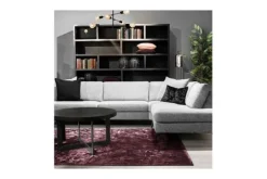 van Dijk Furniture Vakkenkasten|Boekenkasten^Boekenkast Established