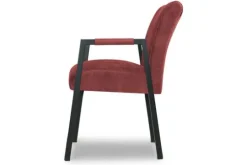 Donc Eetkamerstoelen^Eetfauteuil Harvey