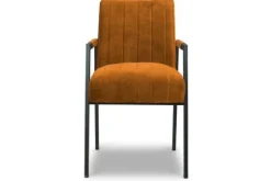 Donc Eetkamerstoelen^Eetfauteuil Harvey