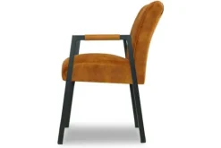 Donc Eetkamerstoelen^Eetfauteuil Harvey