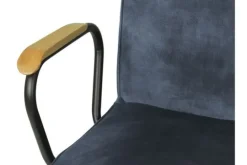 Titan Design Eetkamerstoelen^Eetfauteuil Jussie