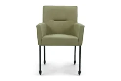 France Eetkamerstoelen^Eetfauteuil Stromae