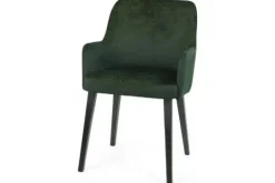 Caggia Eetkamerstoelen^Eetkamer fauteuil Louix