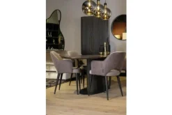 Richmond Interiors Eetkamerstoelen^Eetkamerstoel 210412 Alaska Stone Giovanna