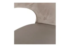 Richmond Interiors Eetkamerstoelen^Eetkamerstoel 211065 Khaki Velvet Savoy