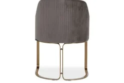 Richmond Interiors Eetkamerstoelen^Eetkamerstoel 210457 Stone Velvet Hadley