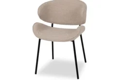 Eleonora Meubelen Eetkamerstoelen^Eetkamerstoel 95734 Tess