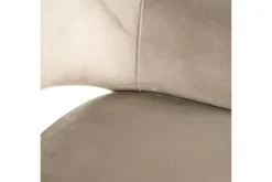 Richmond Interiors Eetkamerstoelen^Eetkamerstoel 212340 Trendy Nature Giovanna