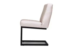 Divani Eetkamerstoelen^Eetkamerstoel Fun