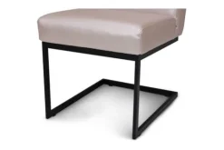 Divani Eetkamerstoelen^Eetkamerstoel Fun