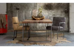 Divani Eetkamerstoelen^Eetkamerstoel Fun
