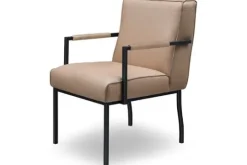 Divani Eetkamerstoelen^Eetkamerstoel Fun