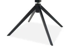 Royal Home Eetkamerstoelen^Eetkamerstoel Present 455 Odette
