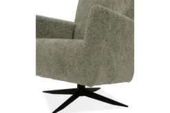 Bing Draaifauteuils^Fauteuil Paltrow