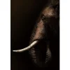 Outlet Ter Halle Glasschilderij Olifant mysterieus 080120-1109