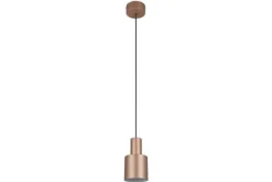 Trio Lighting Hanglampen^Hanglamp Agudo