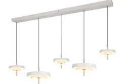 Online Trio Lighting Hanglamp Keaton
