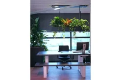 Ztahl Hanglampen^Hanglamp - 2800-9005 Oslo