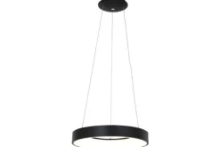 Steinhauer Hanglampen^Hanglamp 2695ZW Ringlede