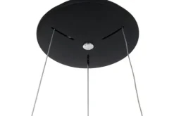 Steinhauer Hanglampen^Hanglamp 2695ZW Ringlede