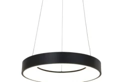 Steinhauer Hanglampen^Hanglamp 2695ZW Ringlede