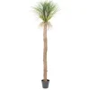 By-Boo Decoratie^Kunstplant 403124 Agave