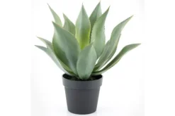 By-Boo Decoratie^Kunstplant 403102 Agave