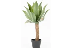 By-Boo Decoratie^Kunstplant 403090 Agave