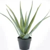 By-Boo Decoratie^Kunstplant 403120 Aloe Vera
