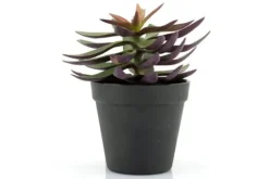 Clearance By-Boo Kunstplant 403114 Vetplant