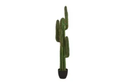 New Label51 Kunstplant Cactus DS-54.004