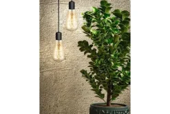 Sale Masterlight Lichtbron FleX DL Rustika |LX023960205
