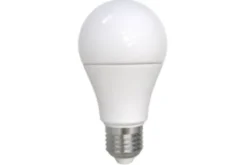 Outlet Trio Lighting Lichtbron Lampe 988-10